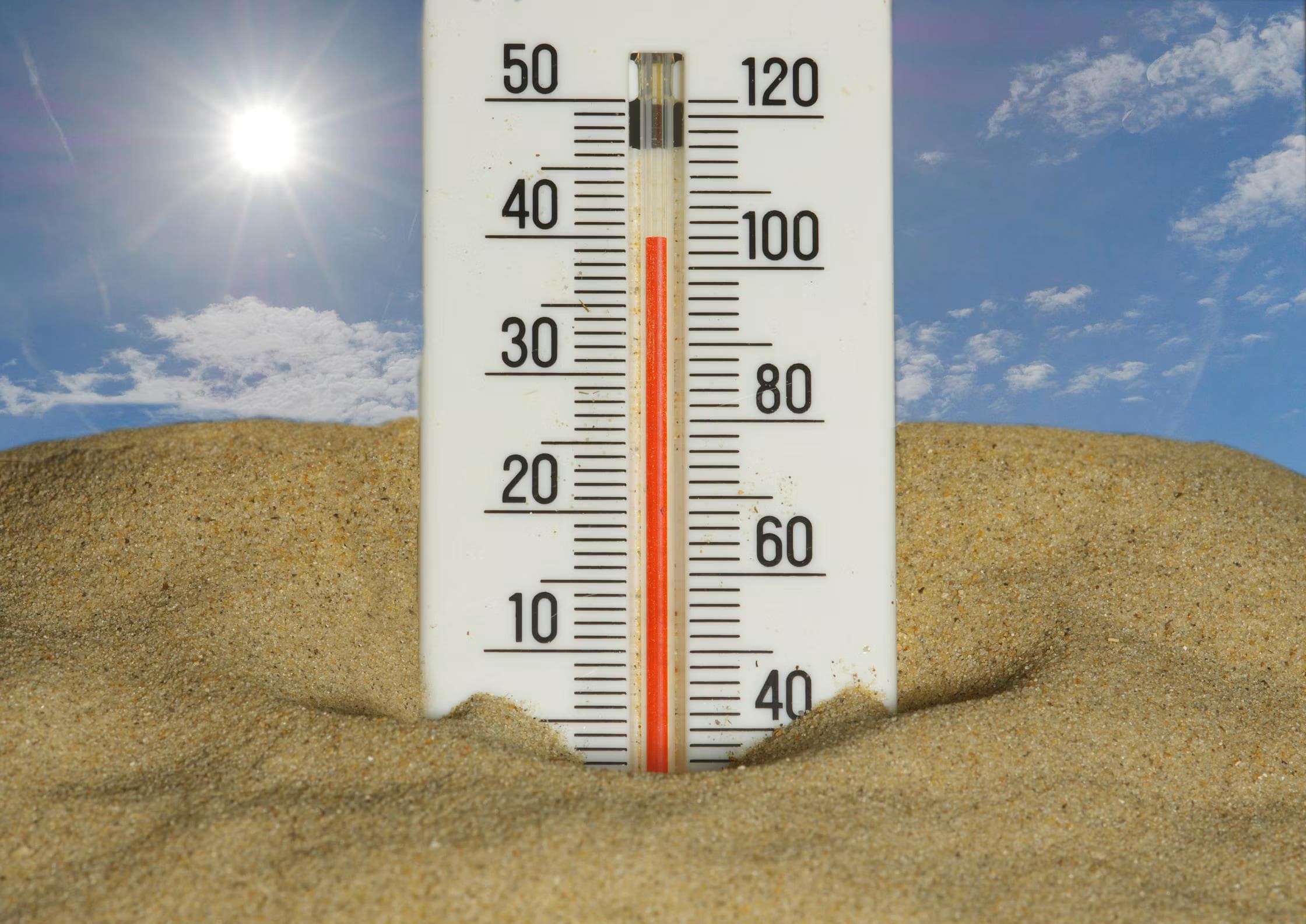 On meurt plus de froid que de chaud